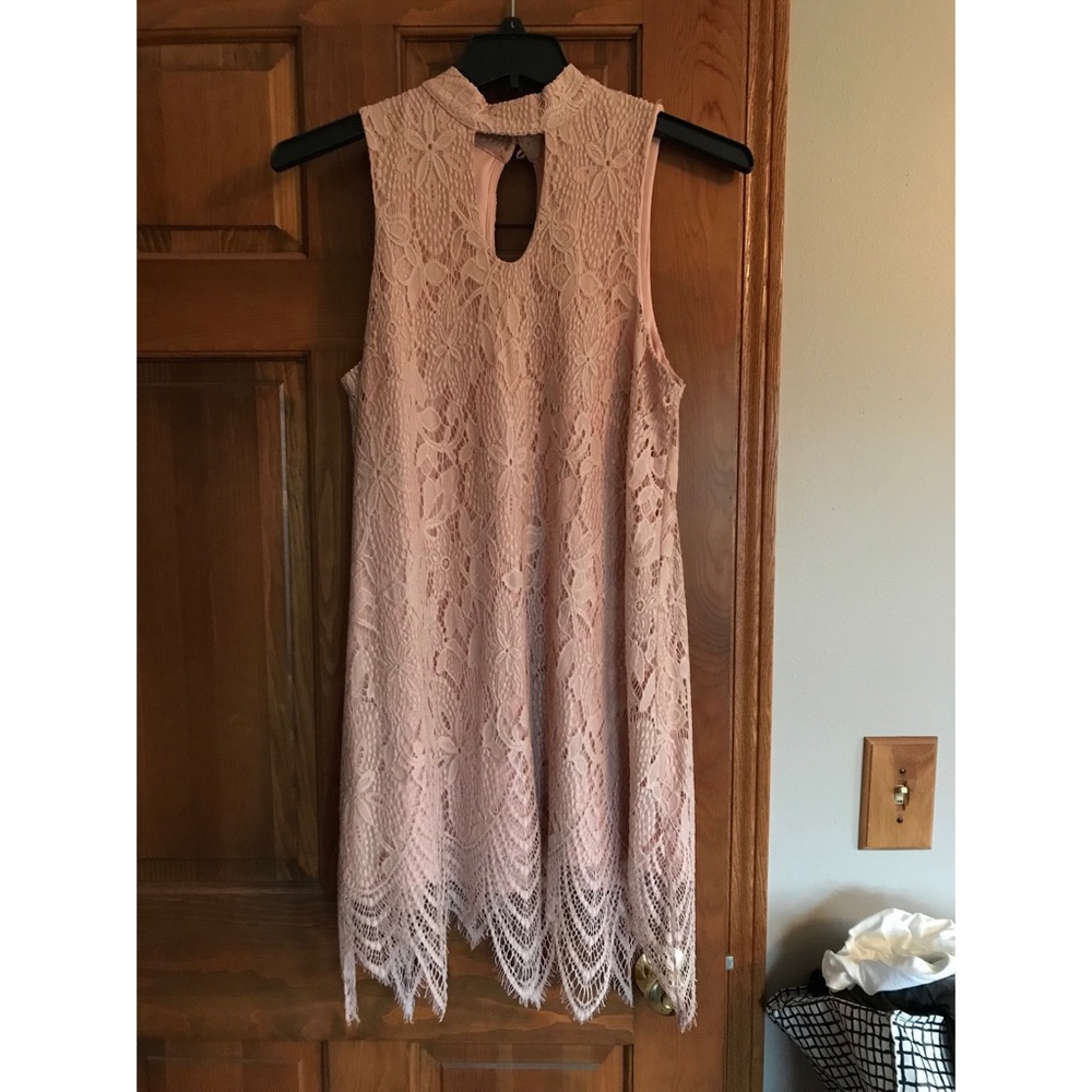 Large Pink Lace Dress